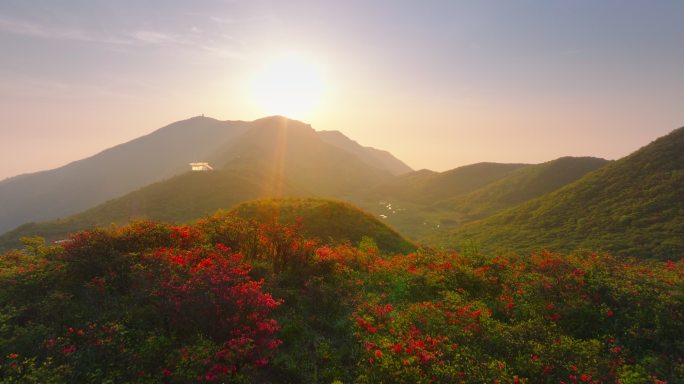 浏阳大围山杜鹃花海航拍