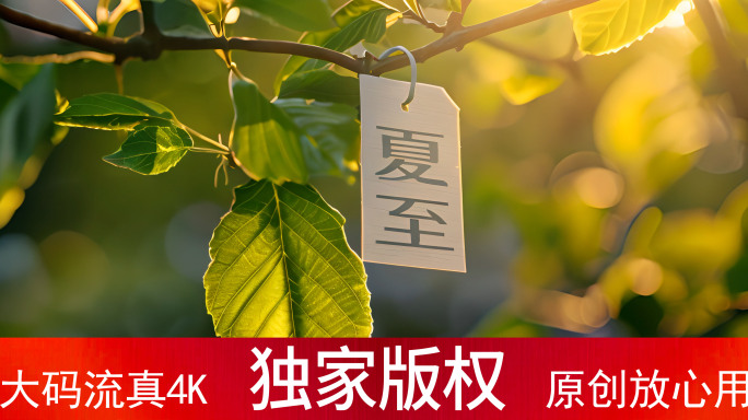 夏至 夏天 夏季小清新合集