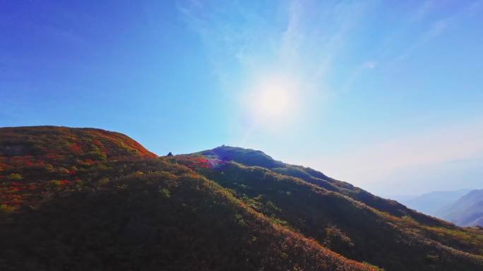 穿越机拍摄浏阳大围山杜鹃花海