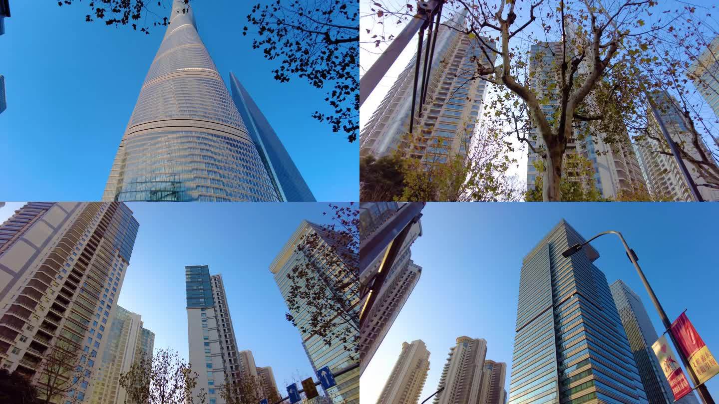 透过树枝叶子仰望高楼大厦上海中心大厦风景