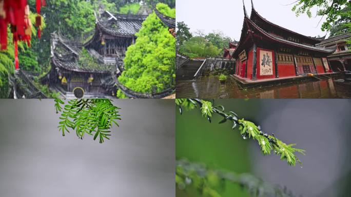 桢楠王公园云峰寺雨景唯美雨意禅意