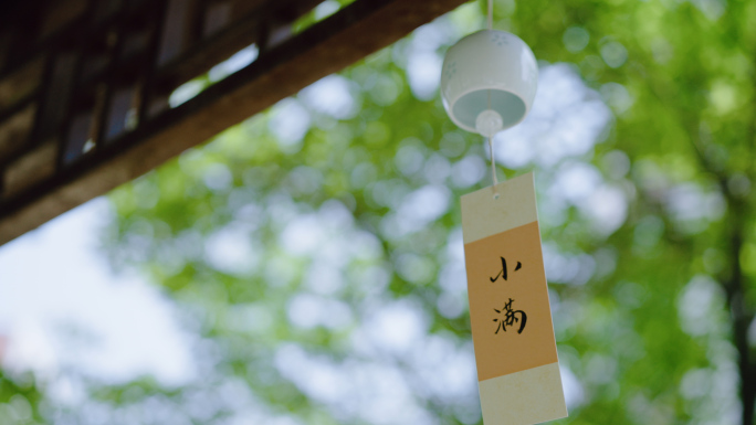 小满节气 小满 小麦 麦田 下雨