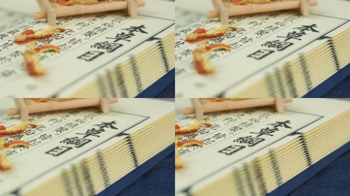 中医中药药材陈皮荞麦化橘红