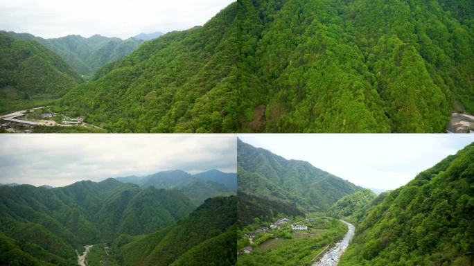 原始丛林深山老林航拍青山树木自然风光