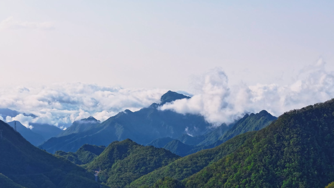 航拍湖北神农架高山森林4K高清素材