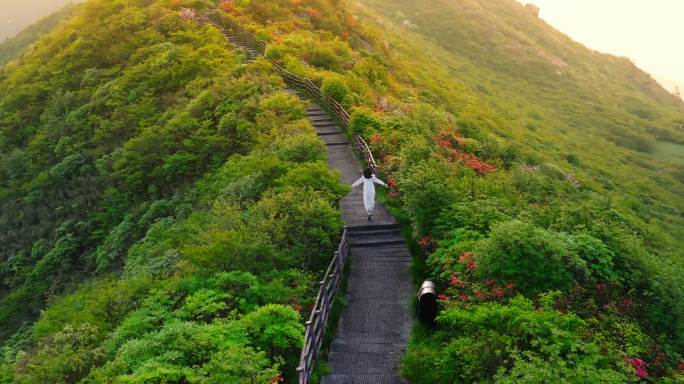 浏阳大围山杜鹃花海航拍