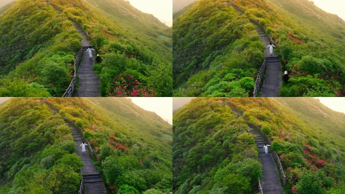 浏阳大围山杜鹃花海航拍