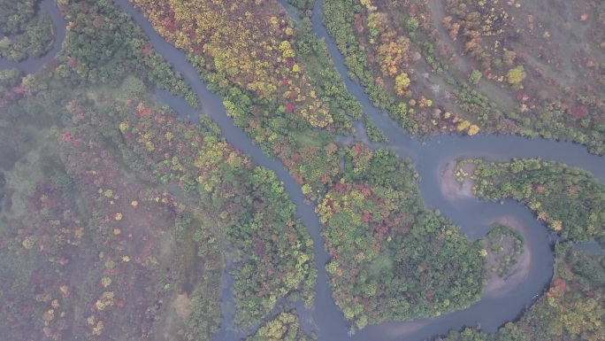 4K-Log-航拍深秋清晨中的莫尔道嘎河