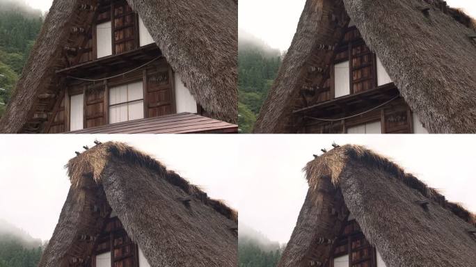 日本富山的茅草屋顶房屋