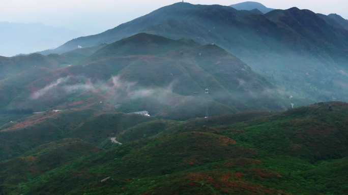 浏阳大围山杜鹃花海航拍