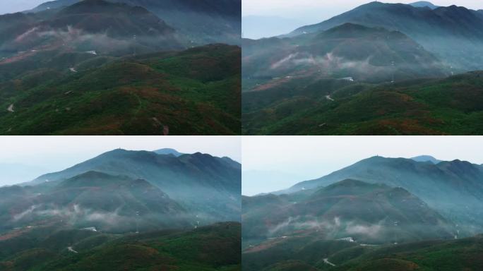 浏阳大围山杜鹃花海航拍