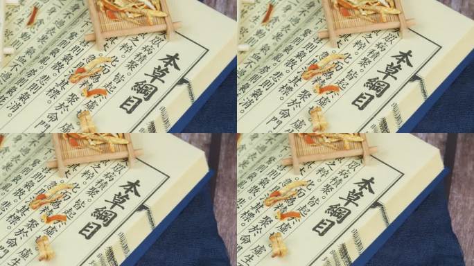 中医中药药材陈皮荞麦化橘红