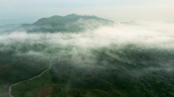 浏阳大围山杜鹃花海航拍