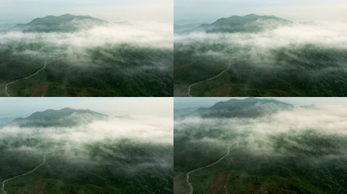 浏阳大围山杜鹃花海航拍