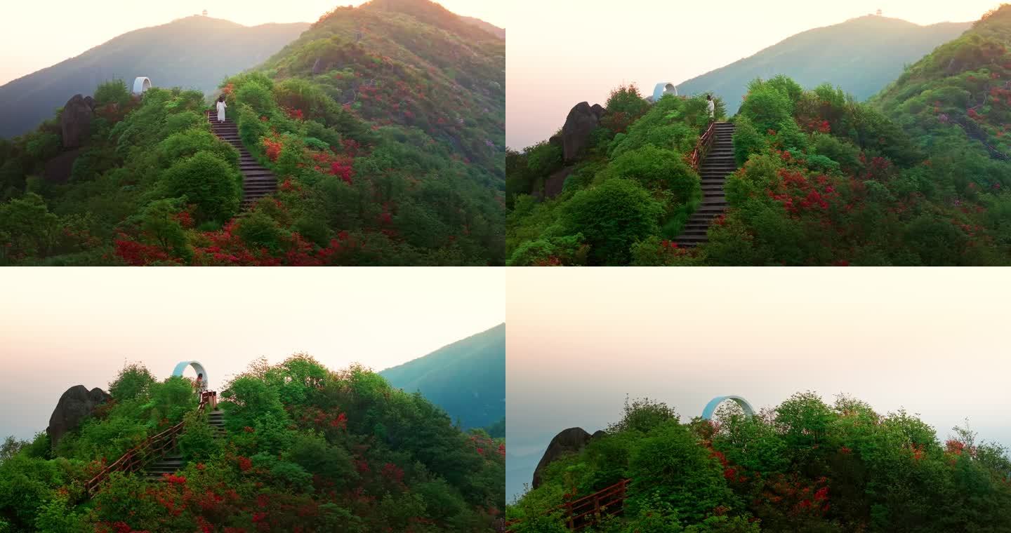 浏阳大围山杜鹃花海航拍