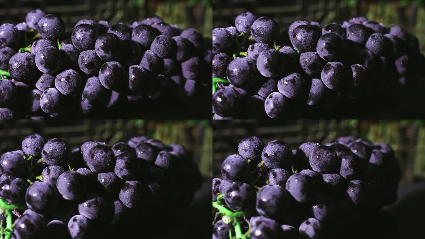 紫色葡萄水珠慢镜头特写旋转