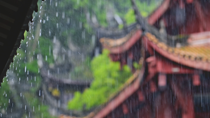 桢楠王公园云峰寺雨景唯美雨意禅意