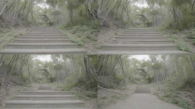 竹林台阶