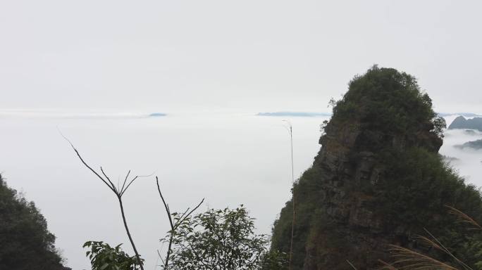 广西金秀平兰顶丹霞地貌云海景观4K视频