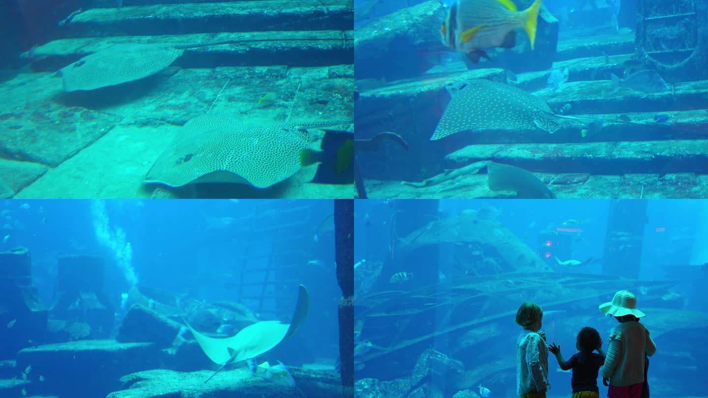 阿联酋迪拜棕榈岛水族馆第一视角