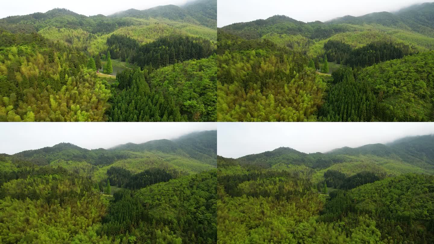 茂名鹿湖顶