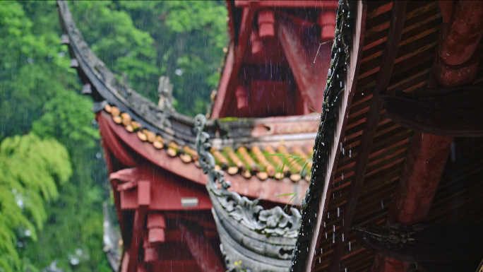 桢楠王公园云峰寺雨景唯美雨意禅意