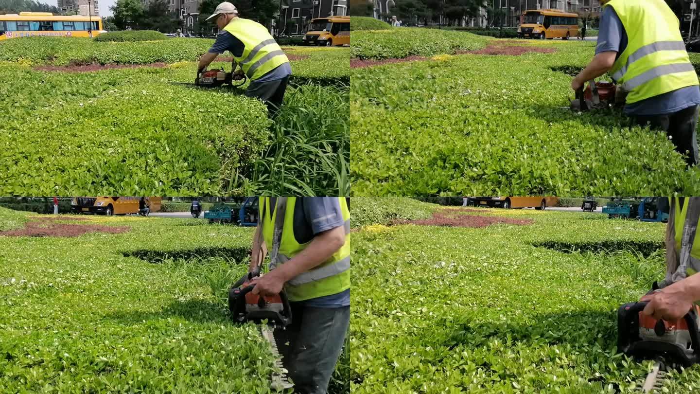 物业员工修剪树叶-园林绿化