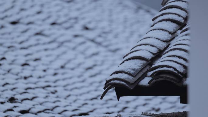 农村怀旧瓦房屋顶下雪，雪花纷飞，世外桃源