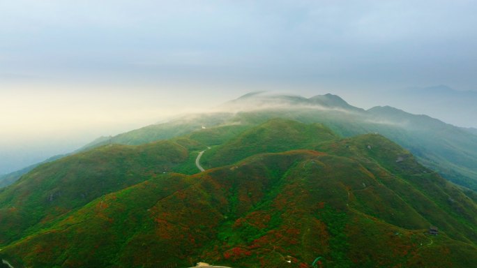 浏阳大围山杜鹃花海航拍