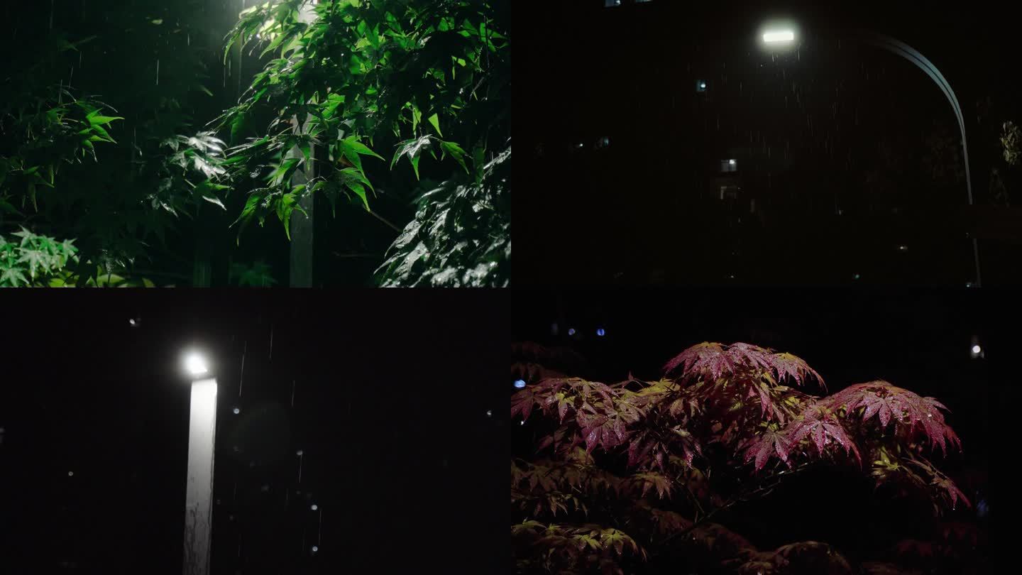 4条夜晚路灯下雨绿色红色枫叶视频素材