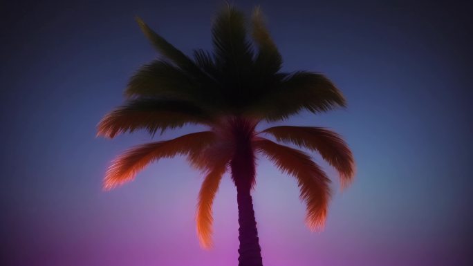 浪漫椰子树  彩色椰子树  椰子树上灯光