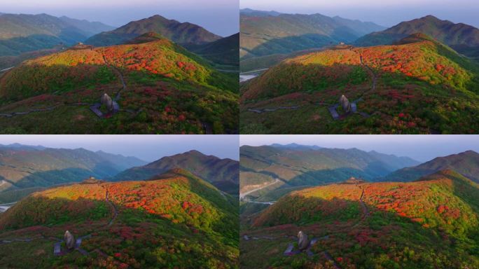 浏阳大围山杜鹃花海航拍