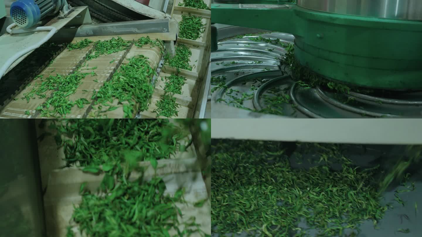 制茶厂茶叶生产加工