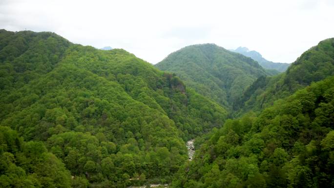 山涧青山绿水地下河暗河源头水资源