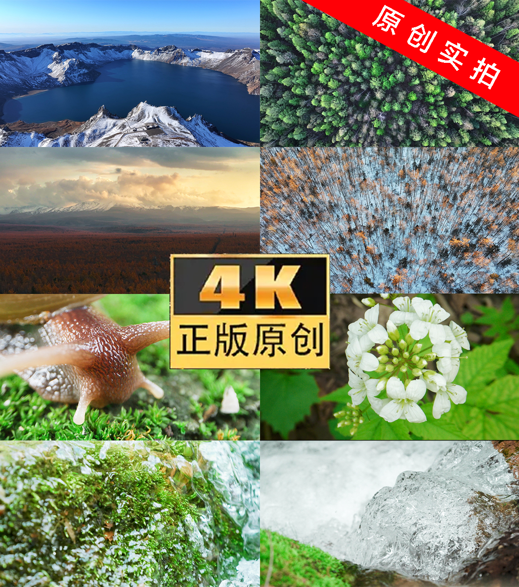 长白山原始森林生态四季蜗牛泉水青苔极寒