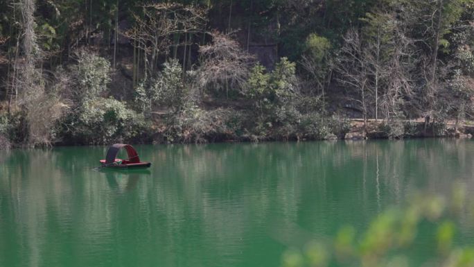 碧绿湖水中漂泊的小船湖中黑天鹅