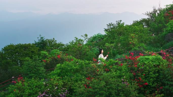 浏阳大围山杜鹃花海航拍