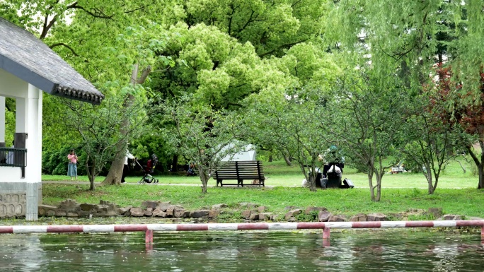 夏天湖边绿色森林游客玩耍开心明亮氛围4K