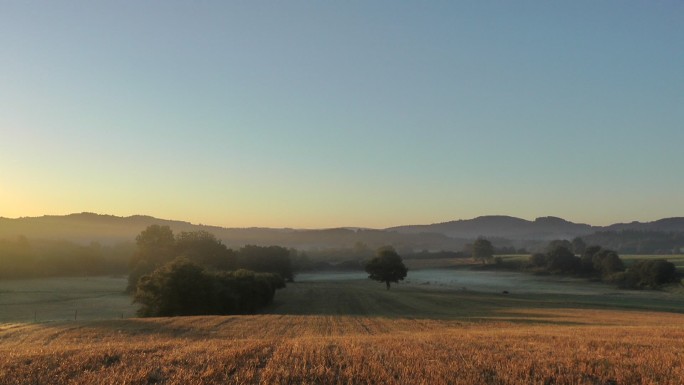 法国草地上的清晨景象