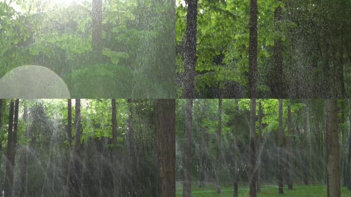 喷水灌溉 园林维护 喷水 灌溉  逆光