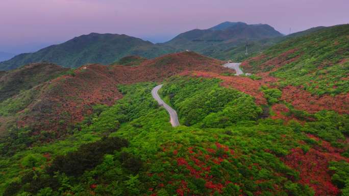 浏阳大围山杜鹃花海航拍