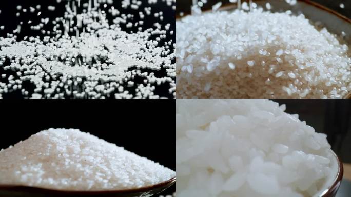 水稻、大米、米饭