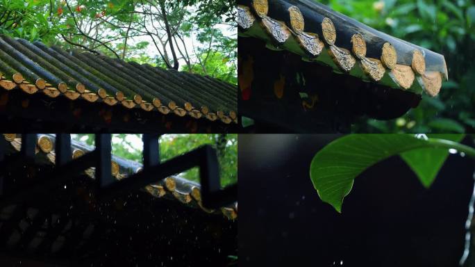 谷雨清明的雨滴