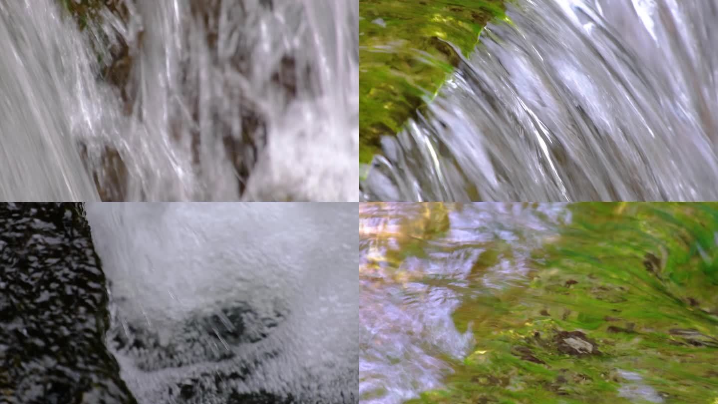 杭州植物园小溪流水风景视频素材449