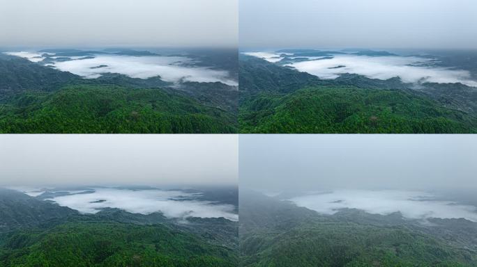 穿过森林云海雨雾
