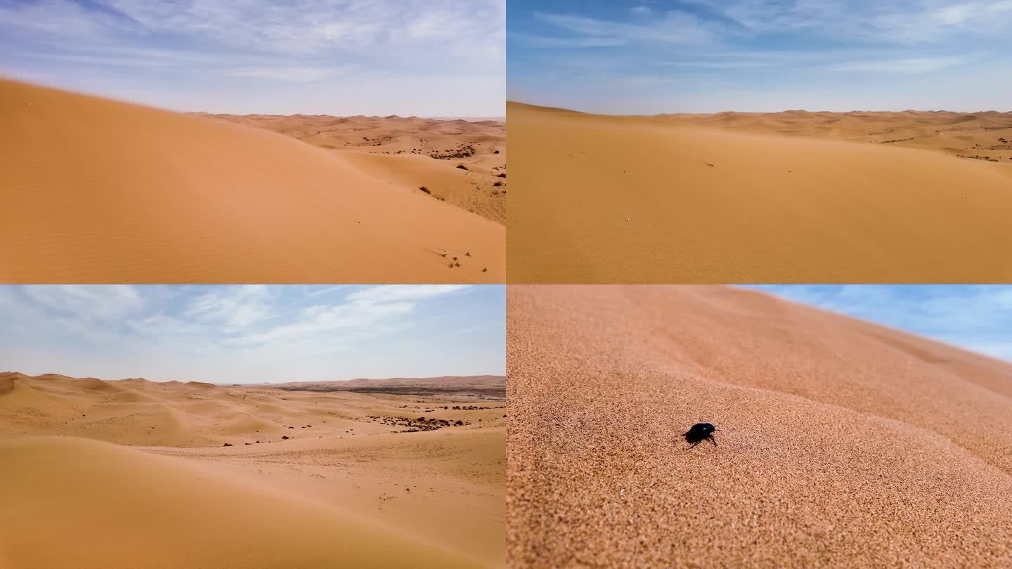 腾格尔沙漠风沙实拍