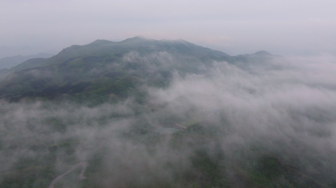 浏阳大围山杜鹃花海航拍