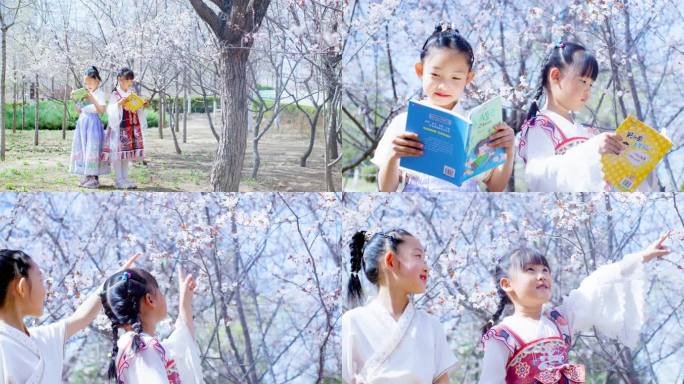 春天桃花林两个小女孩看书6K