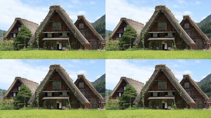 日本白川村的茅草屋顶房屋