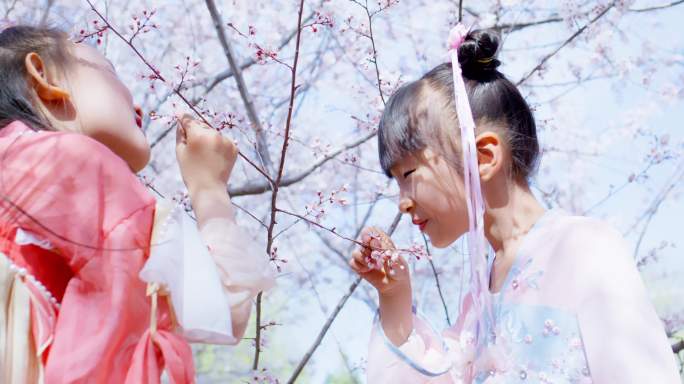 春天桃花林玩耍嬉戏的两个穿汉服的小女孩